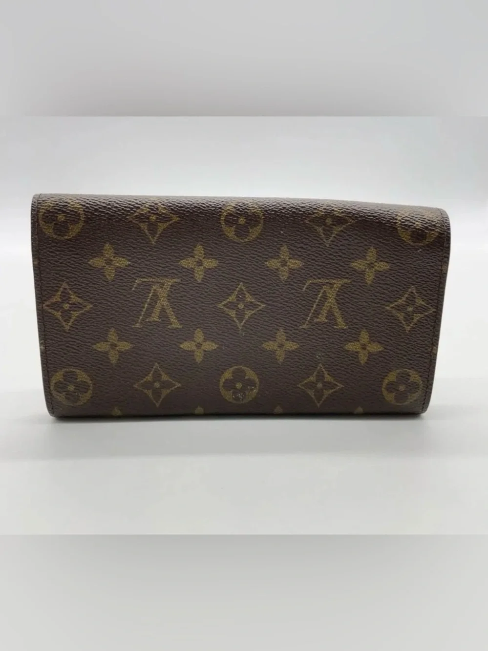 Louis Vuitton brand louis